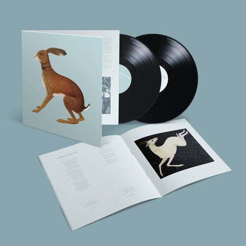 Vashti Bunyan - Vashti Bunyan - Lookaftering (Expanded) [2LP]
