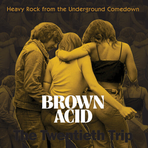 Various Artists - Various Artists - Brown Acid - The Twentieth Trip (Various Artists)