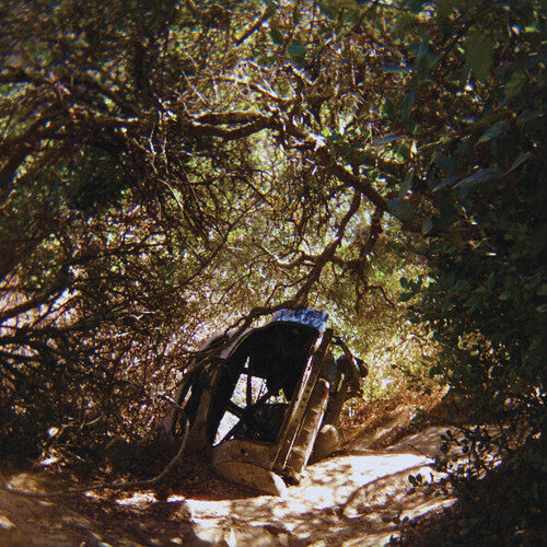 Ty Segall - Ty Segall - Possession