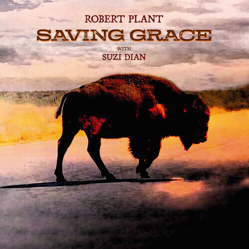 Robert Plant - Robert Plant - Saving Grace