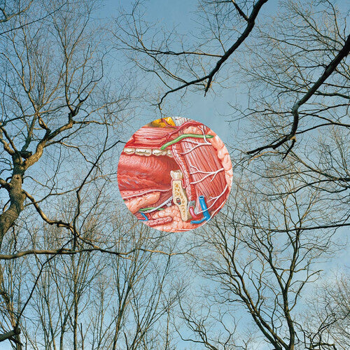 They Might Be Giants - They Might Be Giants - Glean [Red]