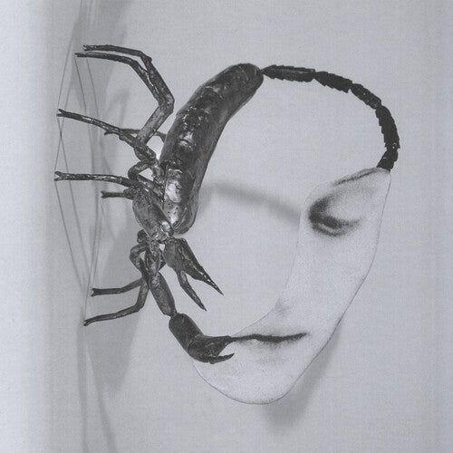 Tortoise - Tortoise - Touch