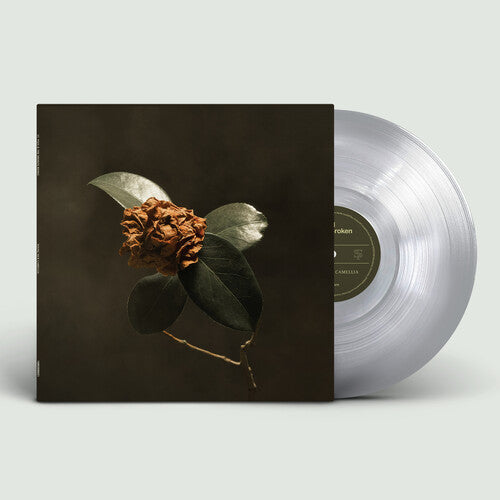 St. Paul & the Broken Bones - St. Paul & the Broken Bones - Young Sick Camellia [Silver]