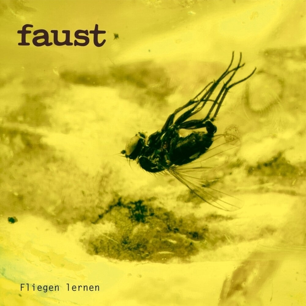 Faust – Fliegen Lernen (CD)