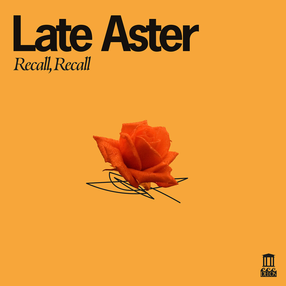 Late Aster – Recall Recall (LP Vinyl)