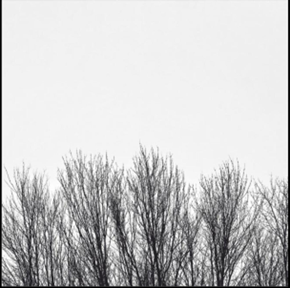 Northwoods Improvisers – White Sky (CD)