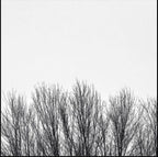 Northwoods Improvisers – White Sky (CD)