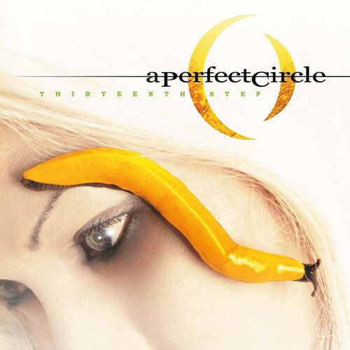 A Perfect Circle - A Perfect Circle - Thirteenth Step [2LP]