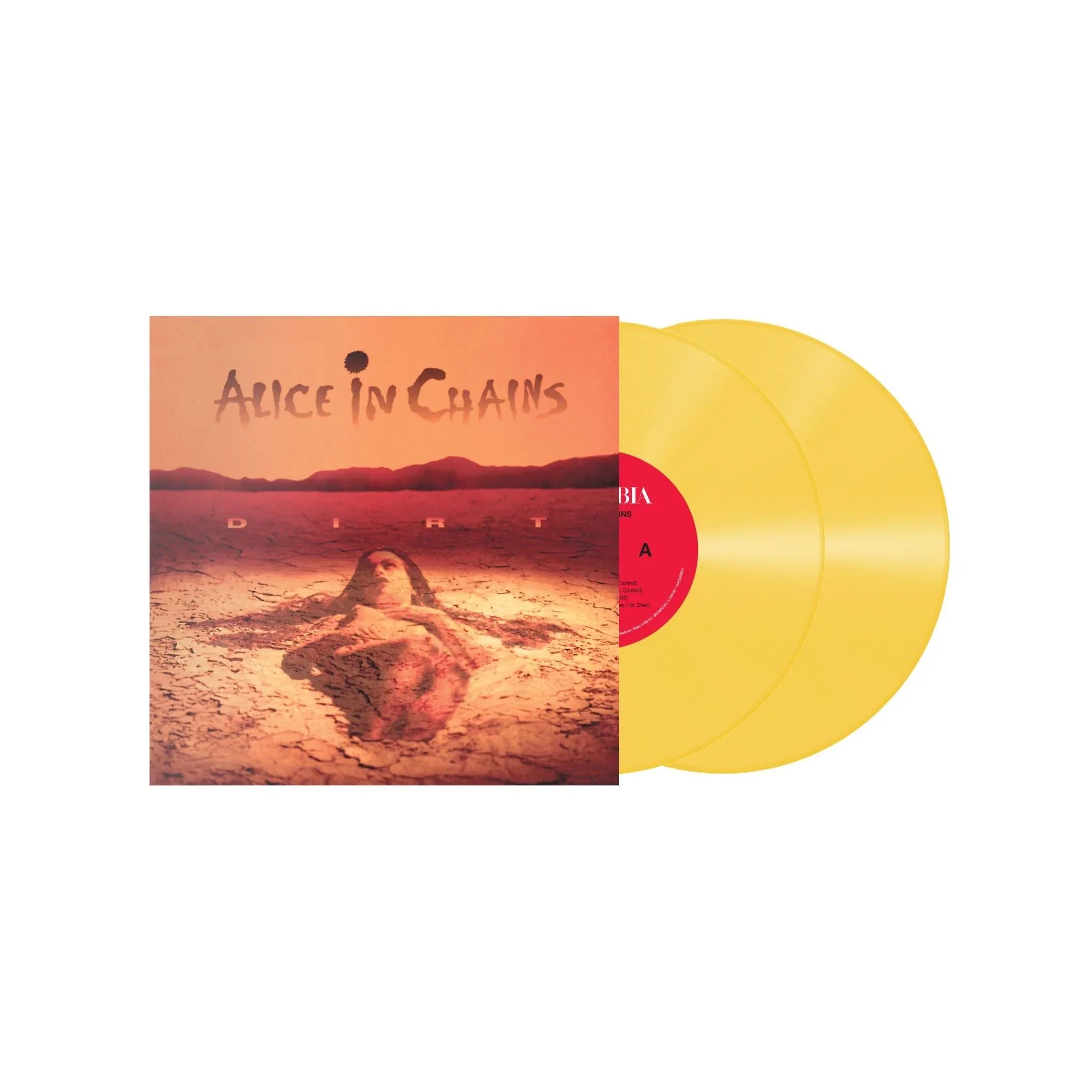 Vinyl record Alice in Chains