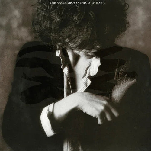 The Waterboys - The Waterboys - This Is the Sea
