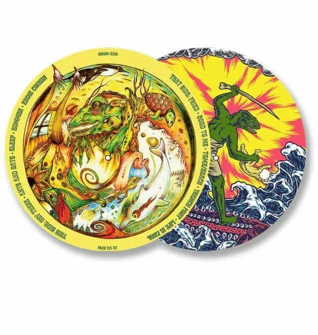 King Gizzard and the Lizard Wizard - King Gizzard and the Lizard Wizard - Teenage Gizzard [Picture Disc]