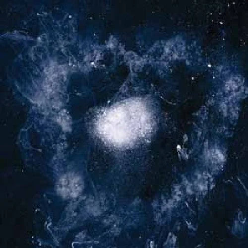 Swans - Swans - My Father Will Guide Me Up a Rope to the Sky