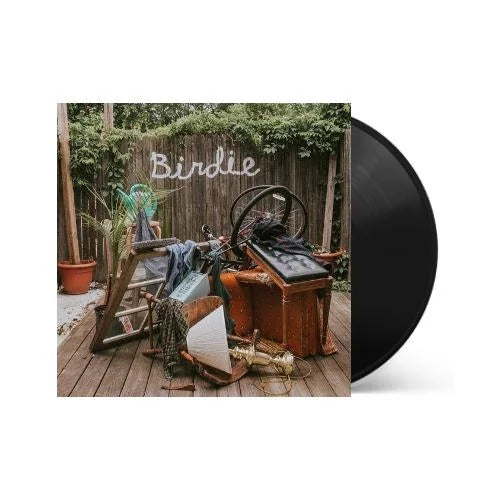 Slaughter Beach Dog - Slaughter Beach Dog - Birdie
