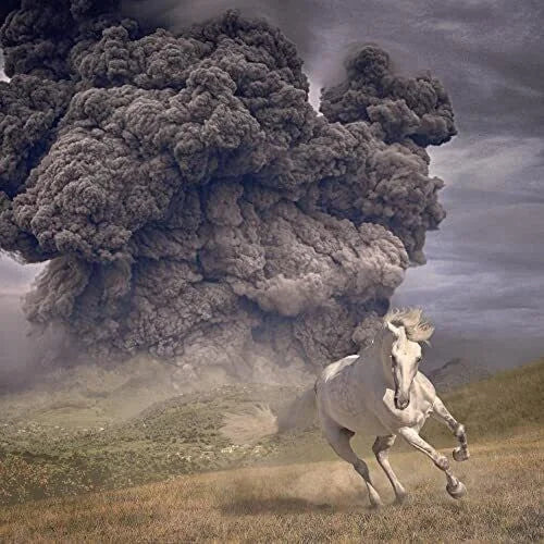 The White Buffalo - The White Buffalo - Year Of The Dark Horse