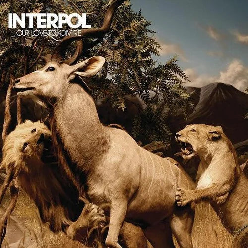 Interpol - Interpol - Our Love To Admire