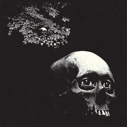 Osees - Osees - Foul Form