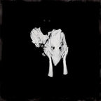 Sigur Ros - Sigur Ros - Kveikur