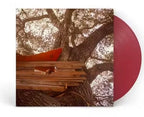 Backseat Lovers - Backseat Lovers - Waiting To Spill (1st Anniversary Edition) [Translucent Ruby]