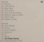 Sylvan Esso - Sylvan Esso - No Rules Sandy