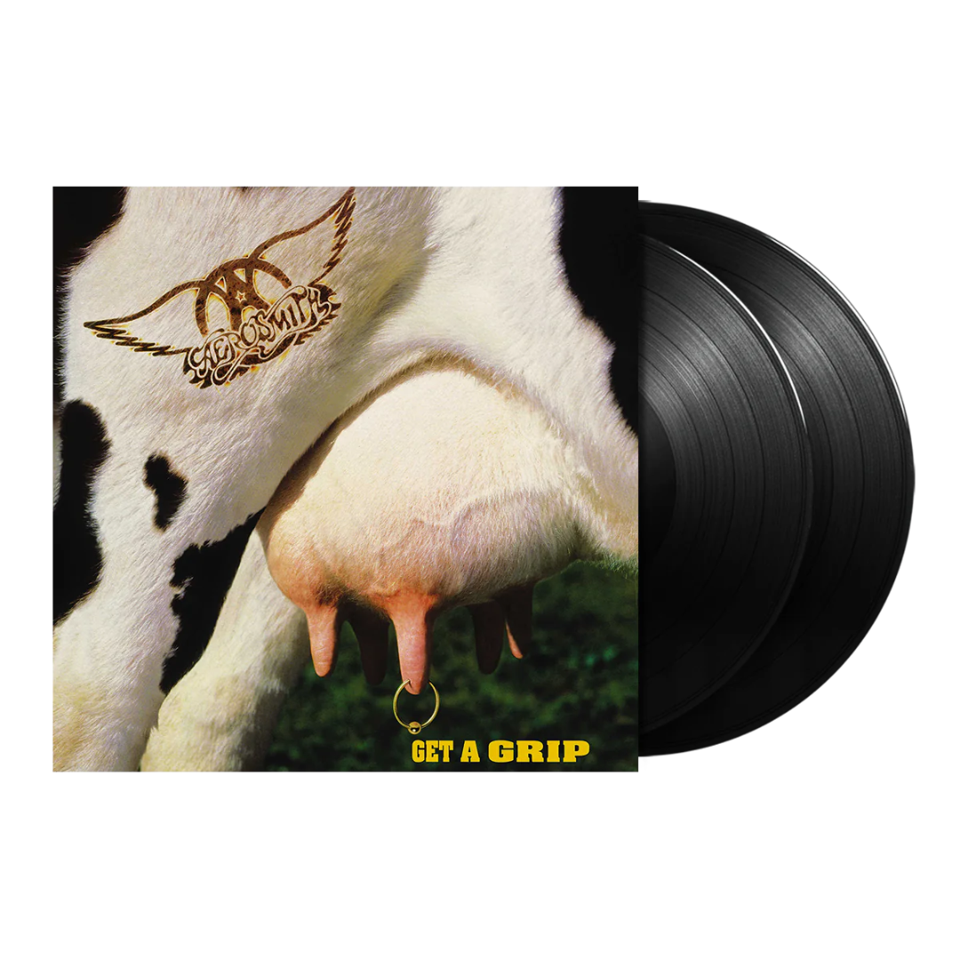 aerosmith get a grip vinyl record sale