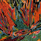 Akusmi – Terra Incognita (LP Vinyl)