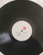 Beastie Boys – Beastie Boys Music (2-LP Vinyl)