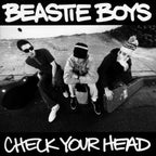 Beastie Boys – Check Your Head (2-LP Vinyl)