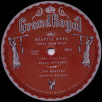 Beastie Boys – Check Your Head (2-LP Vinyl)