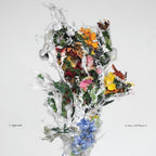 Big/Brave – A Chaos of Flowers (CD)