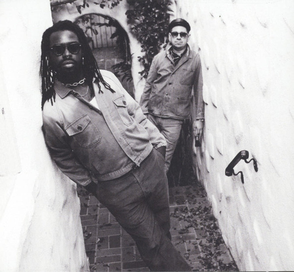 Black Pumas – Chronicles Of A Diamond (CD)