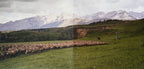 Brokeback Mountain - Original Motion Picture Soundtrack (LP Vinyl)