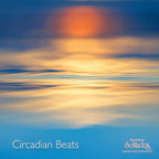 Dan Gibson Solitudes - Dan Gibson  Solitudes – Circadian Beats (LP Vinyl)