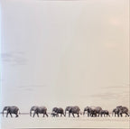 Dave Matthews Band – Where Are You Going: The Singles (2-LP Vinyl)