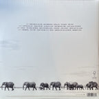 Dave Matthews Band – Where Are You Going: The Singles (2-LP Vinyl)