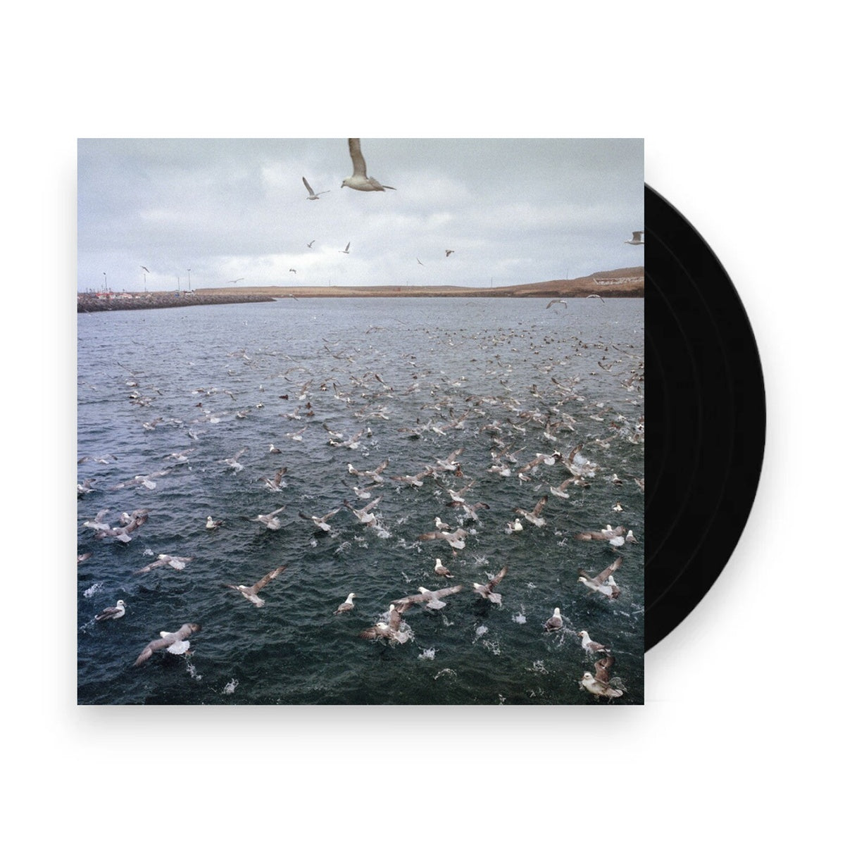 Docile Bodies – Rest (LP Vinyl)