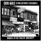 Don Was – Groove In The Face Of Adversity (LP Vinyl)