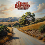 The Doobie Brothers – Walk This Road (LP Vinyl)