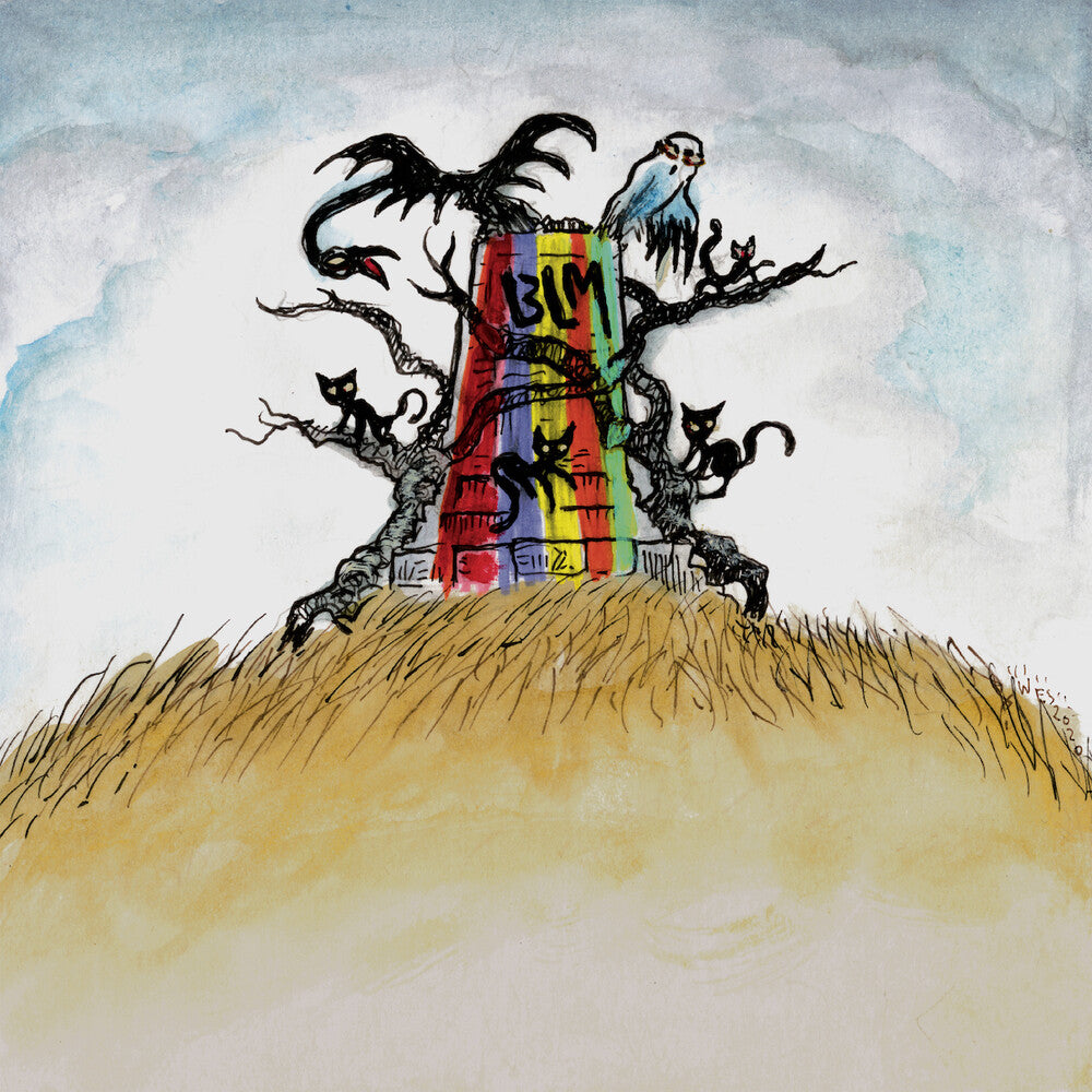 Drive-By Truckers – The New Ok (CD)