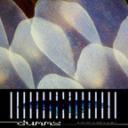 Dummy – Do You Love The Color Of The Sky (Yellow LP Vinyl)