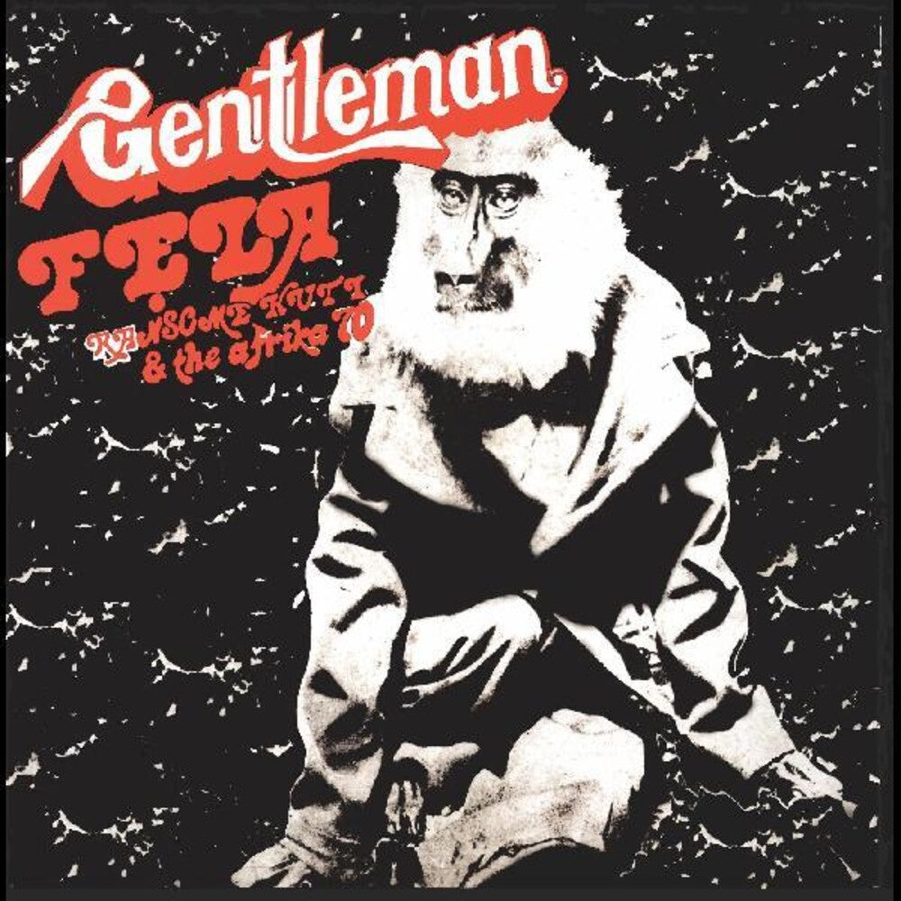 Fela Kuti – Gentleman (LP Vinyl)
