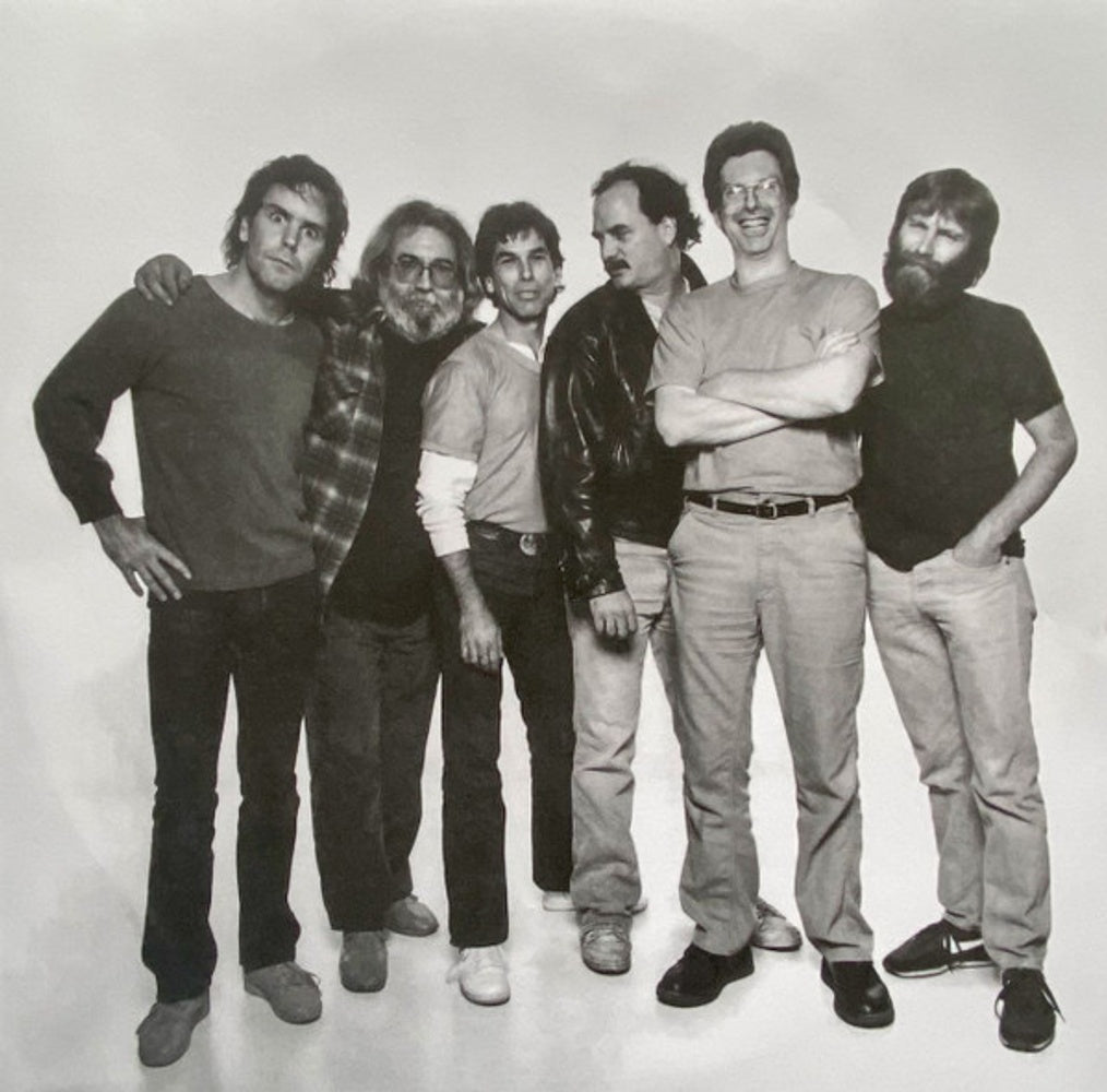 Grateful Dead – In The Dark (LP Vinyl)