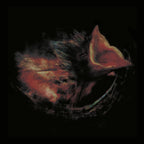 Gurriers – Nobody's Coming To Save You (CD)
