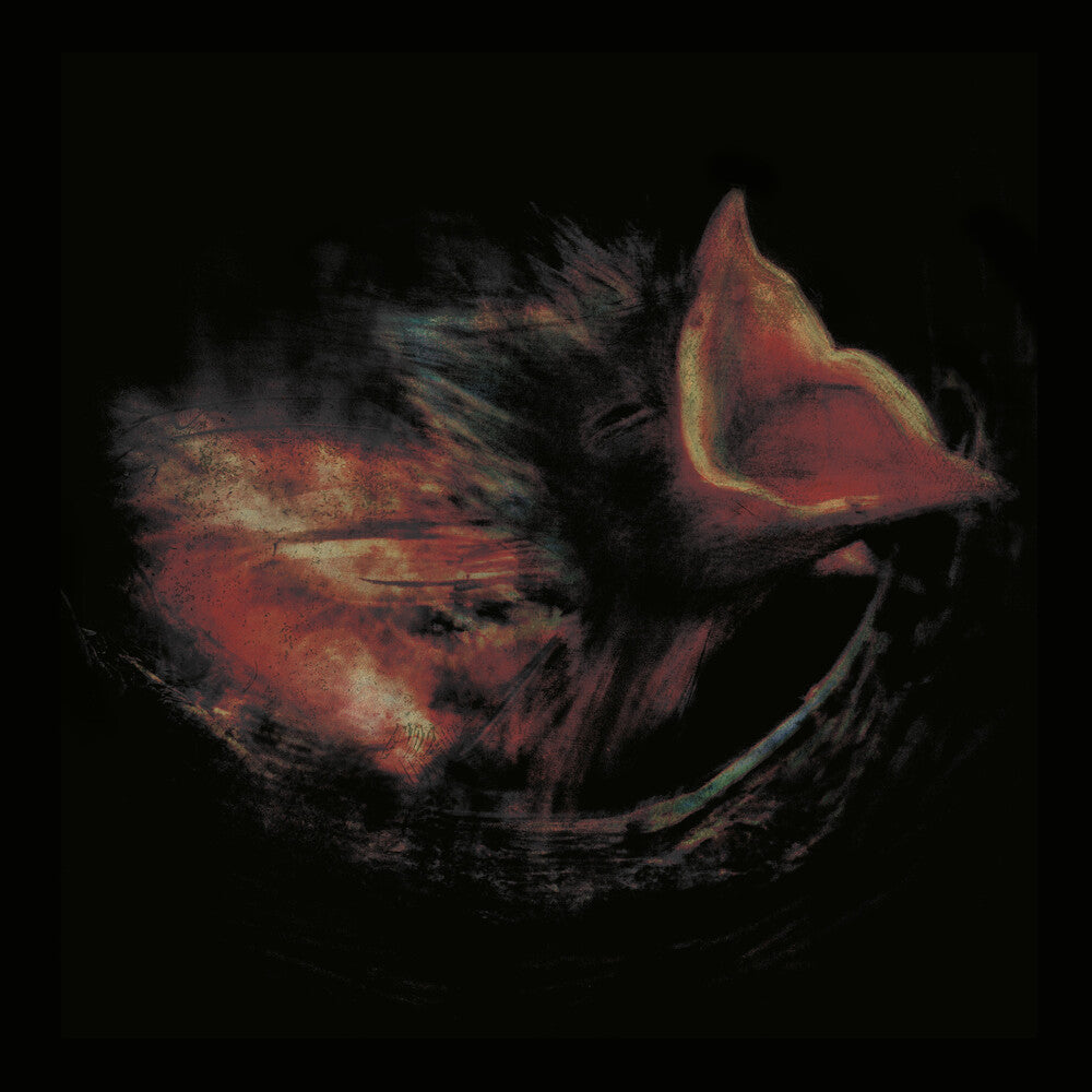 Gurriers – Nobody's Coming To Save You (CD)