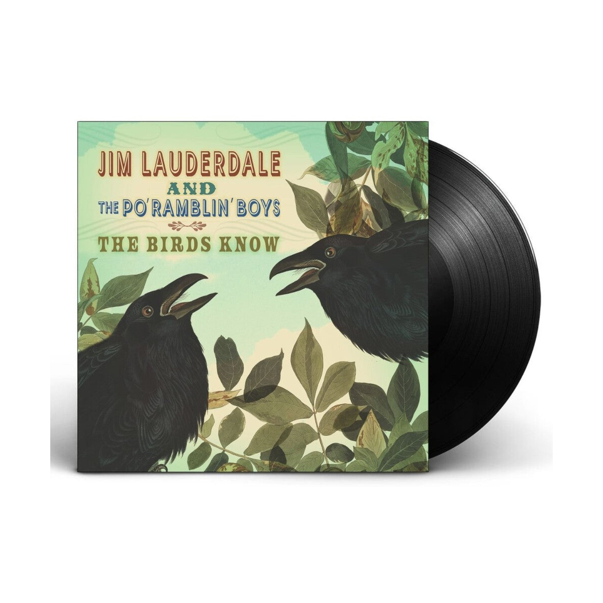 Jim Lauderdale & The Po' Ramblin' Boys - Jim Lauderdale  & The Po' Ramblin' Boys – Birds Know (LP Vinyl)