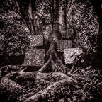 Kamasi Washington – Harmony Of Difference (CD)