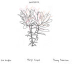 Kirk Knuffke – Paintbrush (CD)