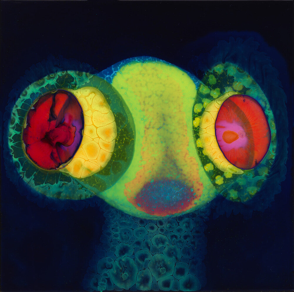 Osees – Sorcs 80 (LP Vinyl)