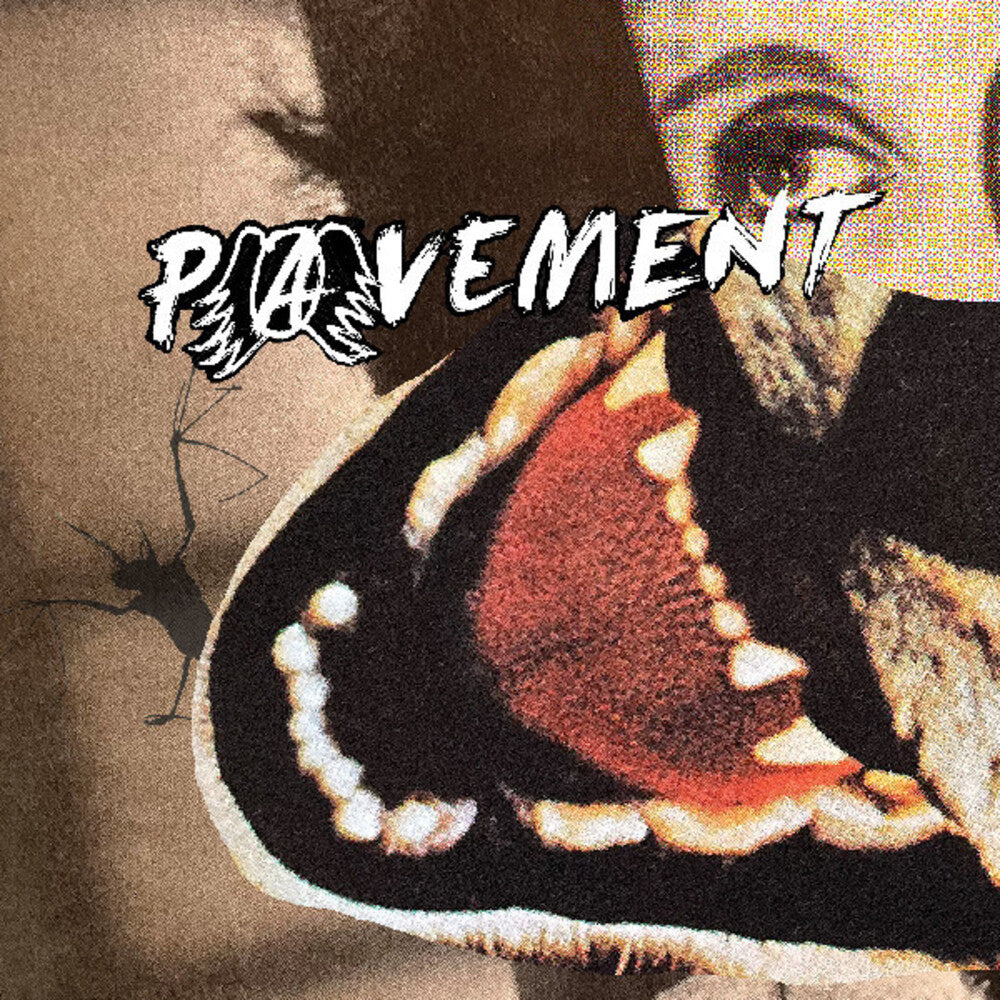 Pavement – Hecklers Choice: Big Gums And Heavy Lifters (CD)