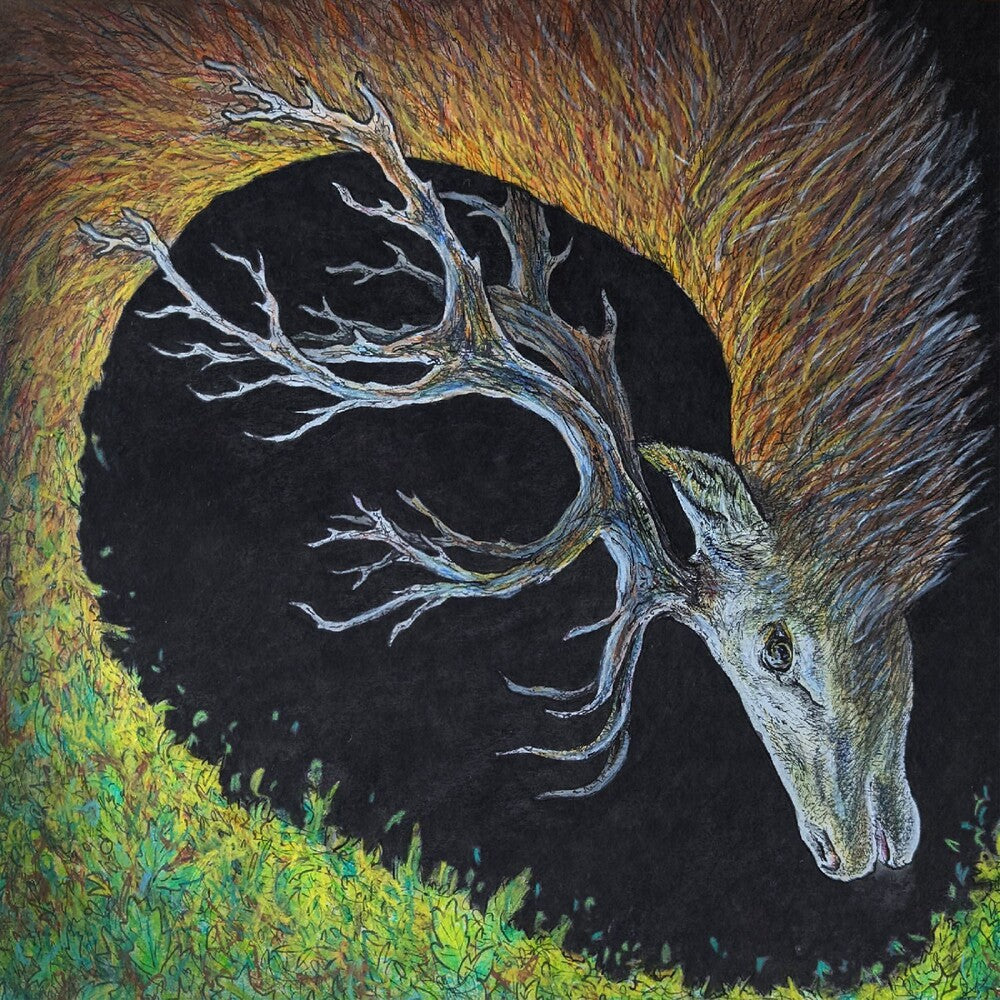 Petrels – Infangthief - Clear Black Smoke (Blk, Clear, Deluxe LP Vinyl)