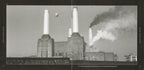 Pink Floyd – Animals: 2018 Remix (CD)